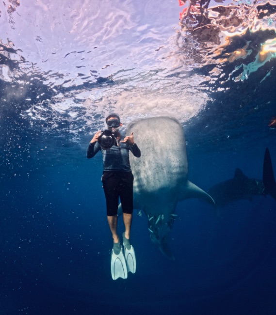 Whale Shark Tour from Lombok 2 Days 1 Night